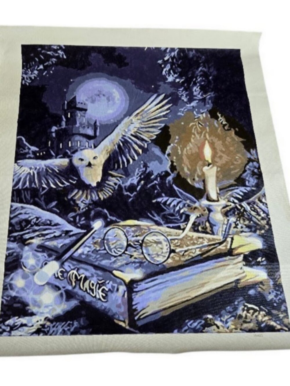 Harry Potter Owl Magic Paint by Number Completed Canvas Art Painting 16x20
